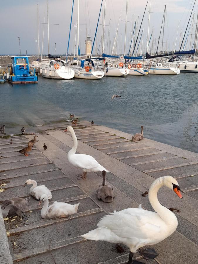 Villa Elisa Lago E Monti Carzago Riviera Dış mekan fotoğraf